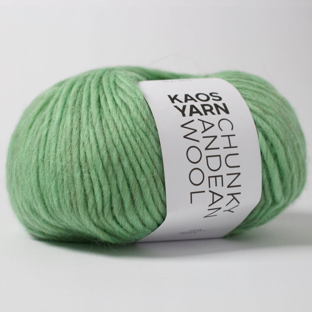 KAOS YARN // Chunky Andean Wool // Vivacious (6076)