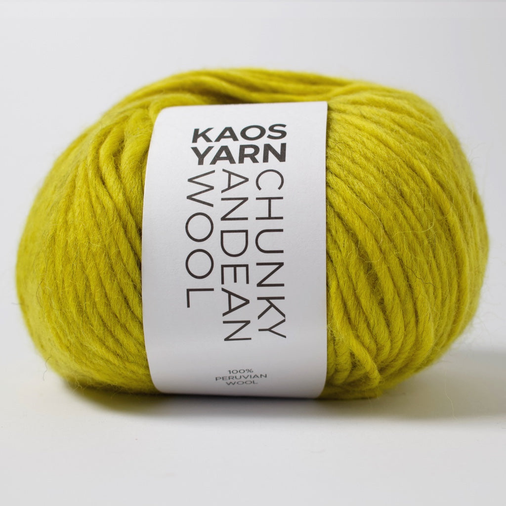 KAOS YARN // Chunky Andean Wool // Confident (6014)